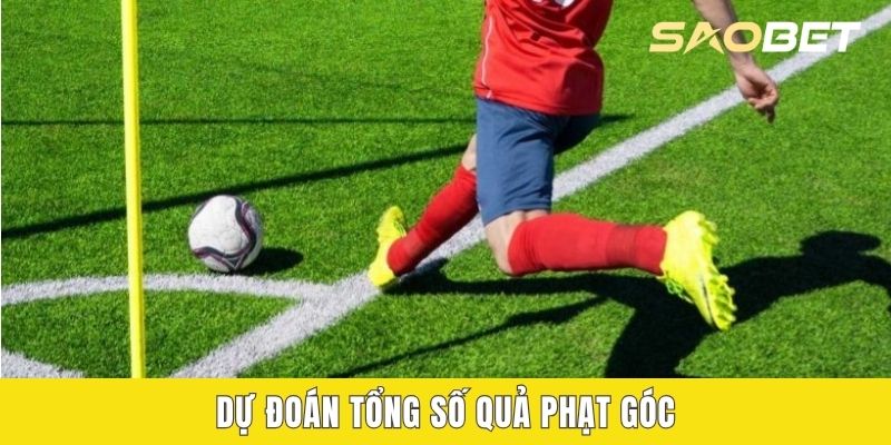 Dự đoán tổng số quả phạt góc