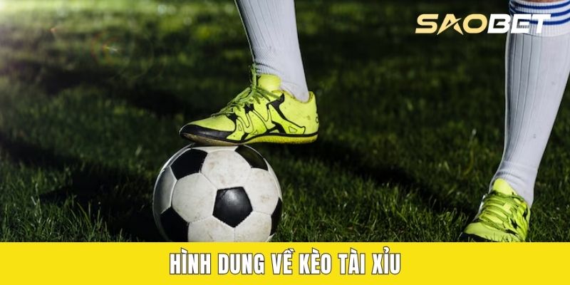 Hinh Dung Ve Keo Tai Xiu