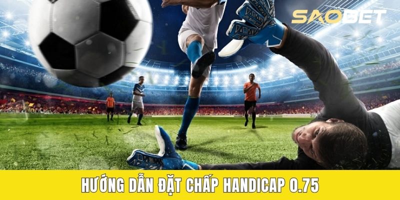 Hướng dẫn đặt chấp handicap 0.75