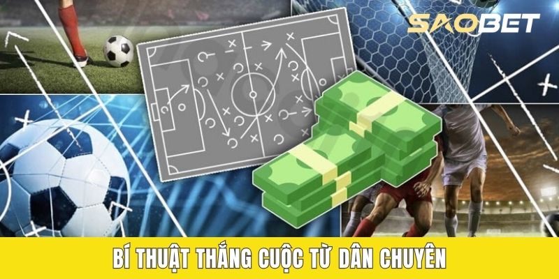Bí thuật thắng cuộc từ dân chuyên