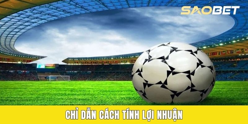 Chỉ dẫn cách tính lợi nhuận