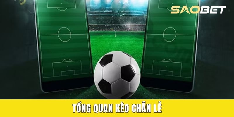 Tổng quan kèo chẵn lẻ