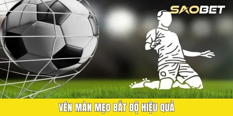 Vén màn mẹo bắt độ hiệu quả